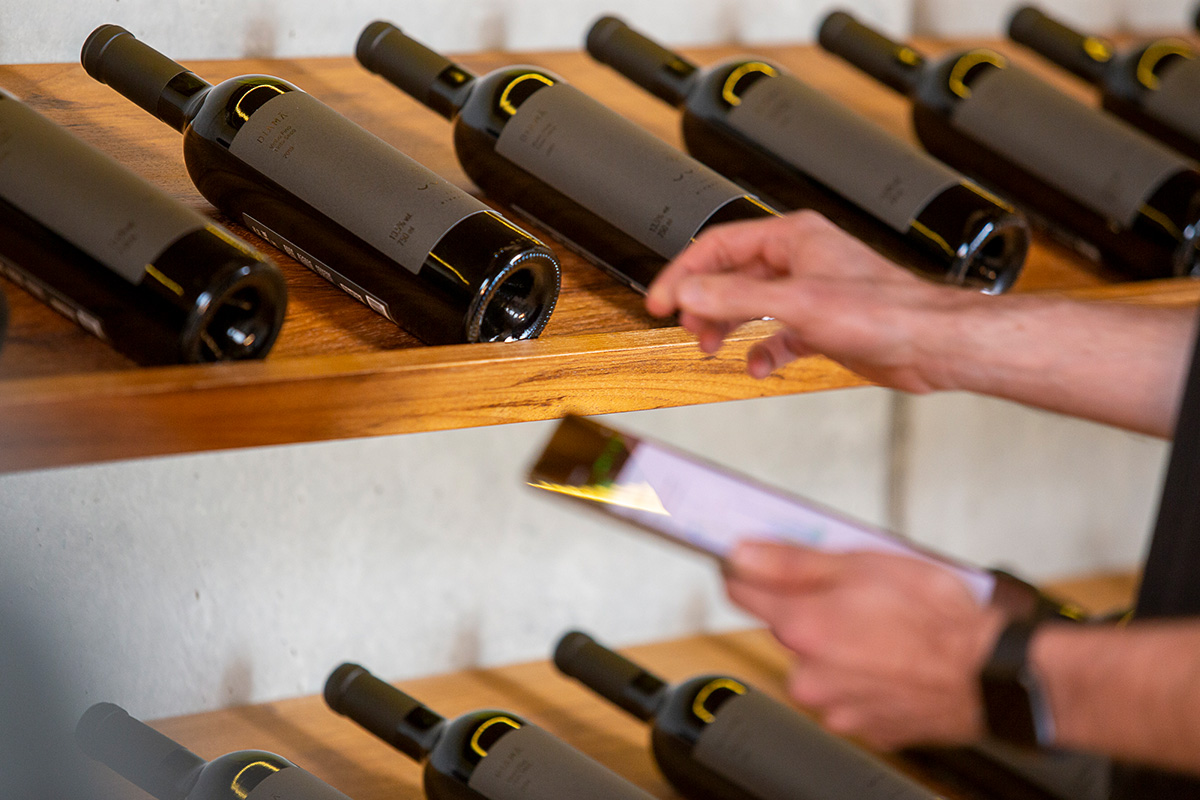 UVVA é destaque em vinhos brasileiros