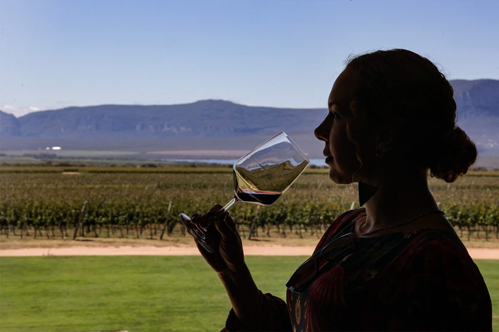 UVVA e o enoturismo no Brasil