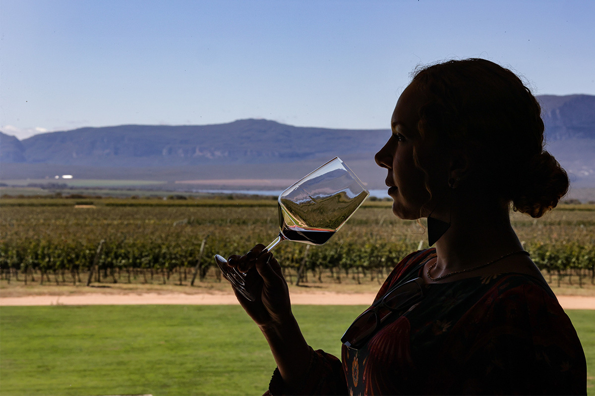 UVVA e o enoturismo no Brasil