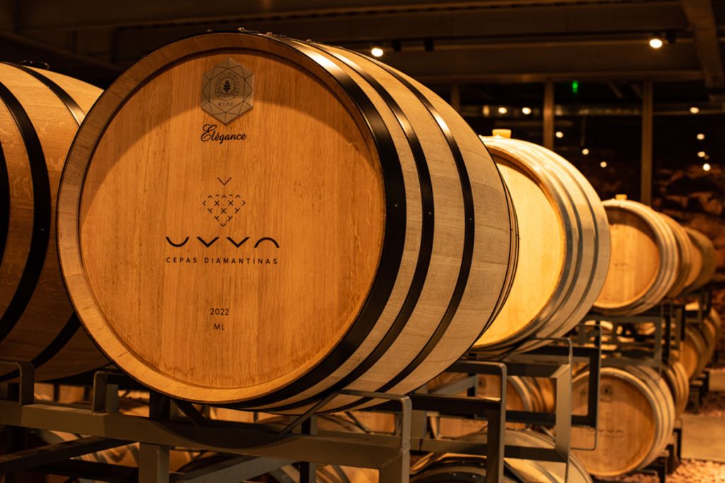 Saiba o que são os vinhos de guarda